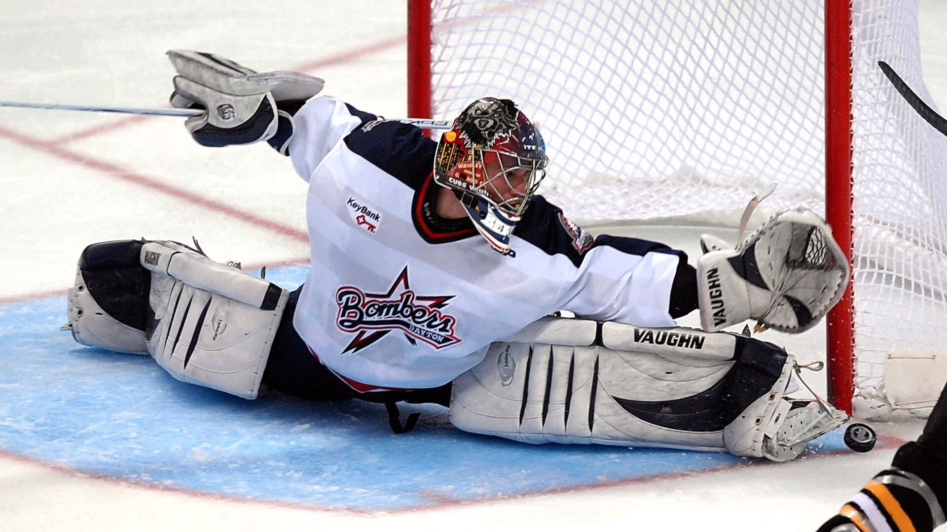 鹈鹕发布球队纪录片讲述幕后奋斗故事，cctv鹈鹕2017