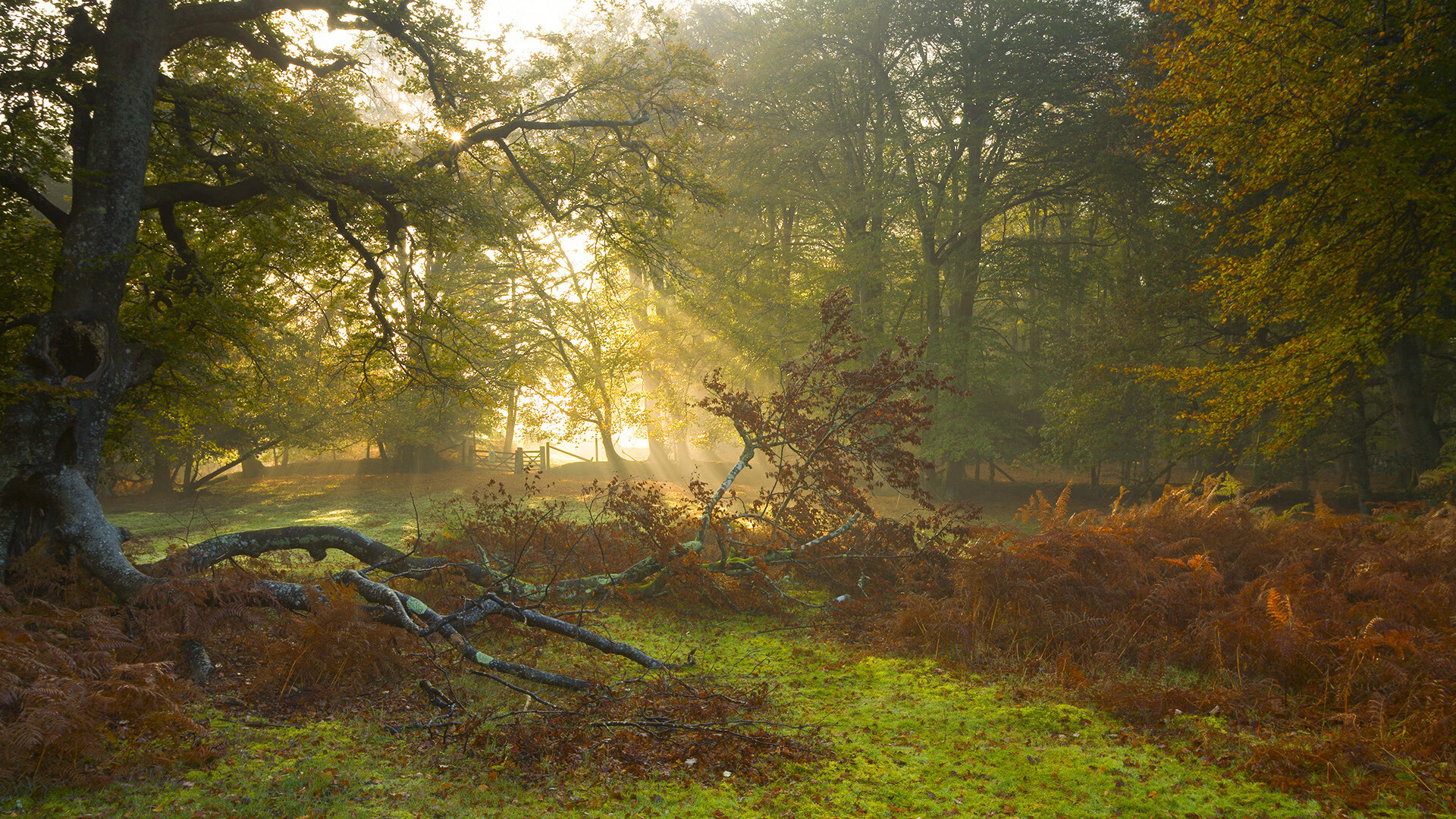 九游电竞资讯-“北极雪地：冰封战场上的极限追击”，北极雪山