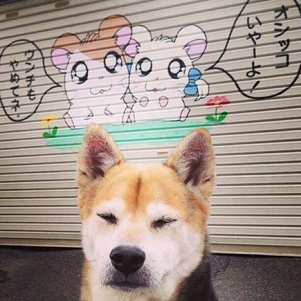 九游9游-“青少年足球专项训练课程体系正式发布”，青少年足球训练方案