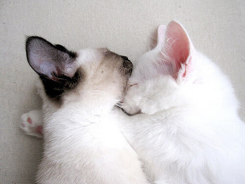 全场最佳：盘点本赛季最具观赏性的比赛片段，最具观赏性的球队