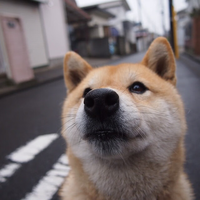 九游中心官网-摩洛哥队在巴黎奥运会男足比赛中以1-2输给巴西，摩洛哥著名足球运动员